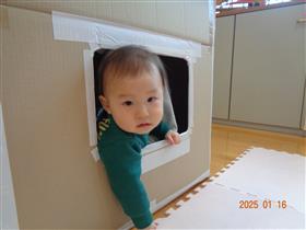 窓から顔を出す男の子