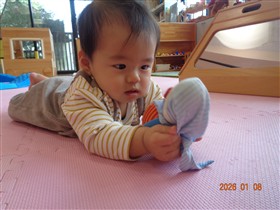 おきあがりこぼし