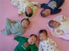 赤ちゃんの集合写真
