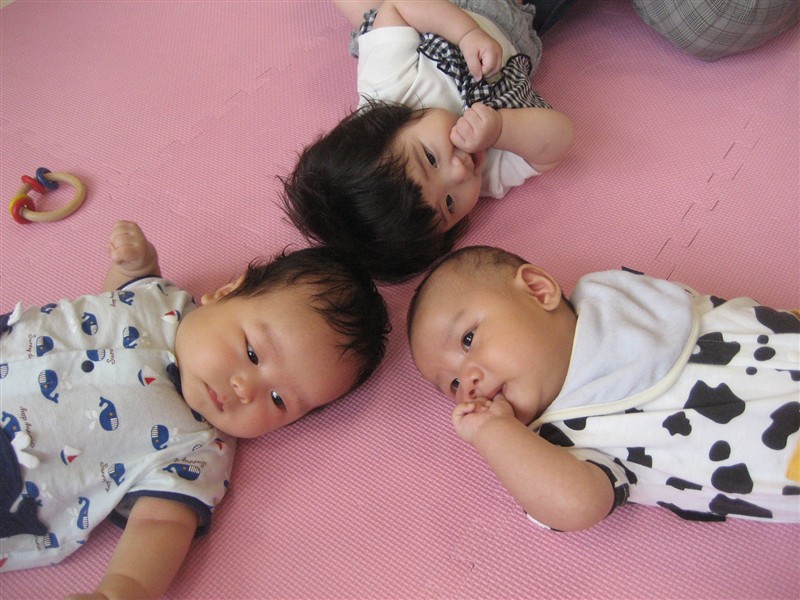 赤ちゃん集合！の写真