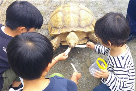 ふれあい動物園