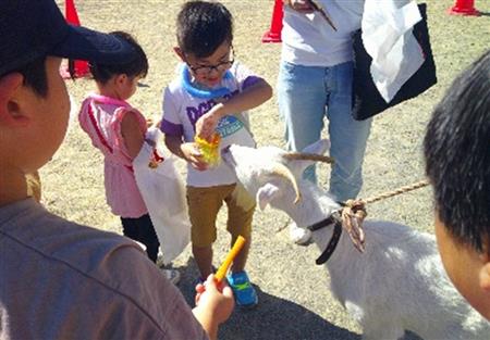 ふれあい動物園報告