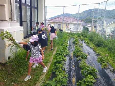ちょこボラ